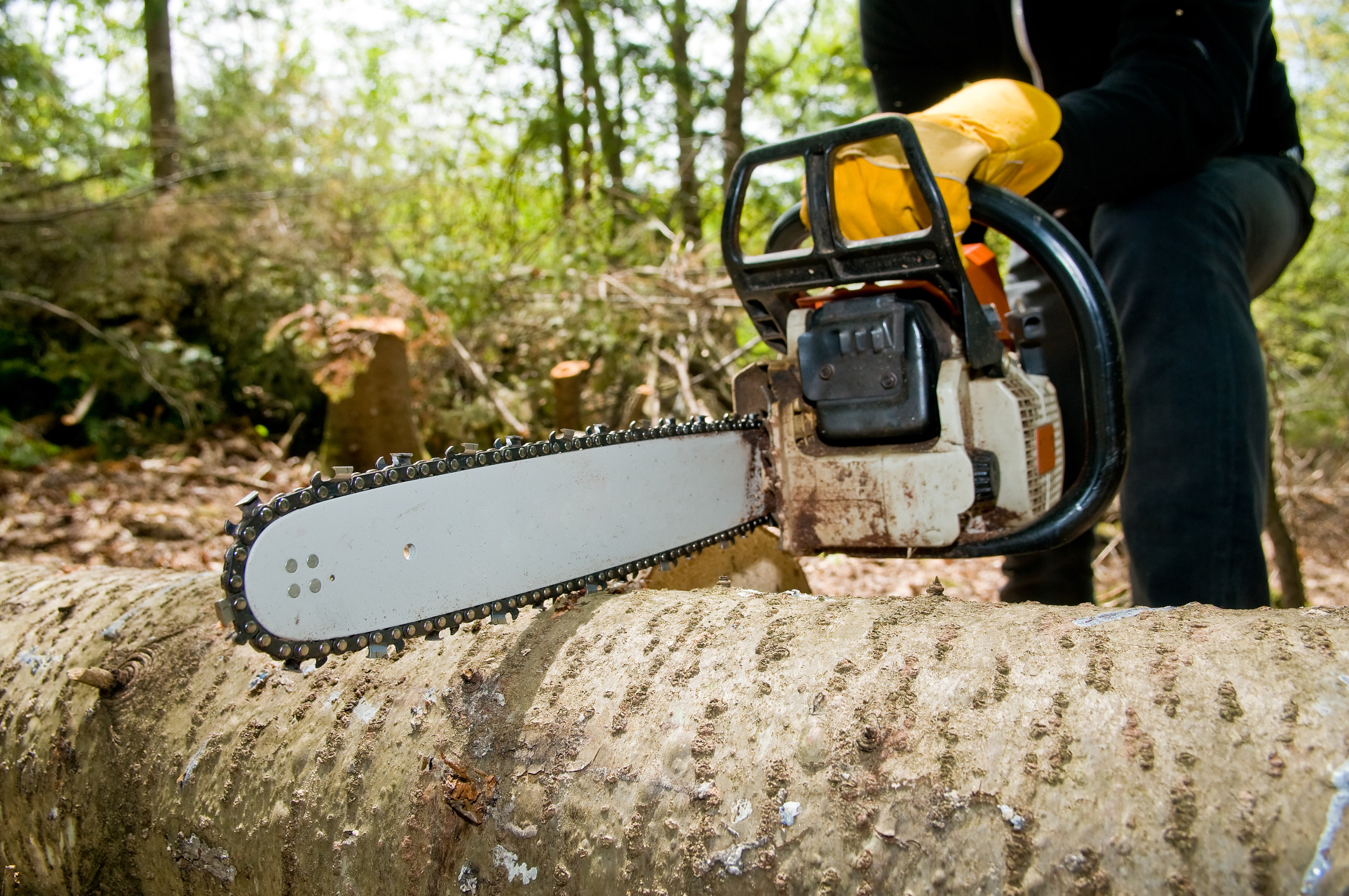 Tree Removals Canberra