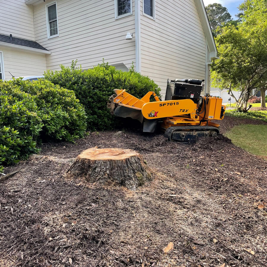 Tree service Canberra