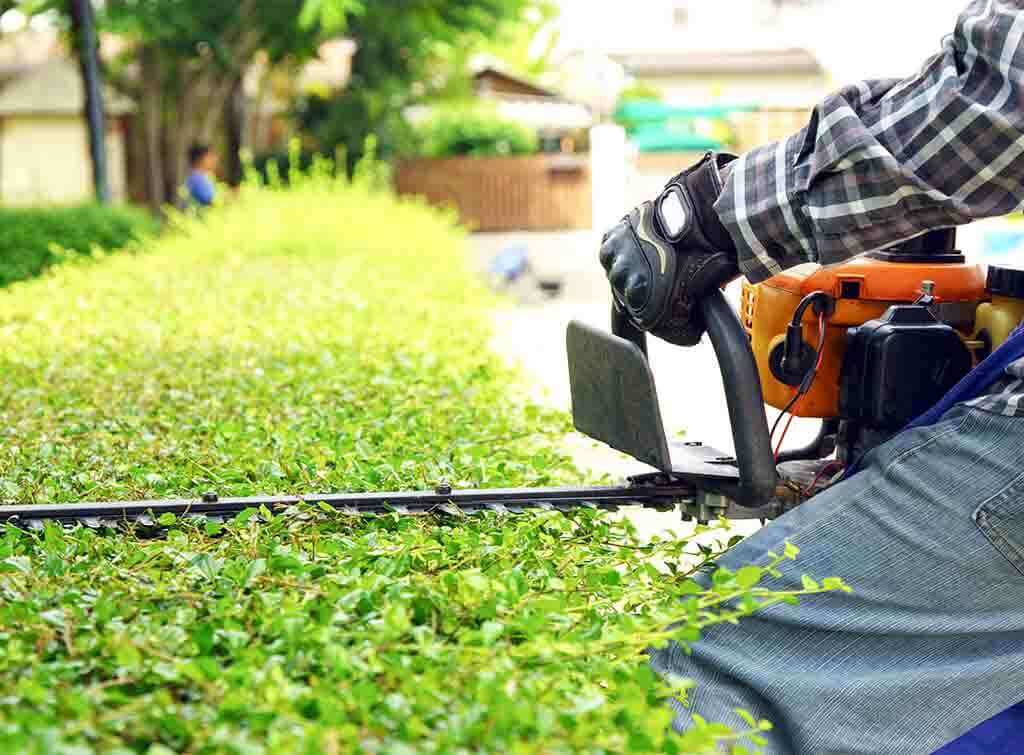 Trimming & Maintenance Canberra